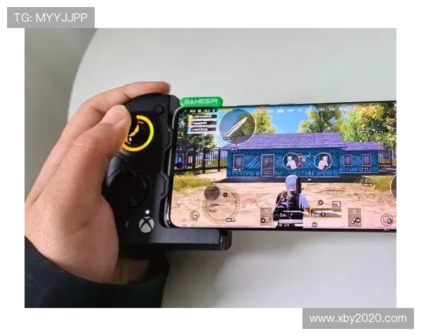 盖世小鸡手柄支持的热门手机电脑主机游戏全面盘点